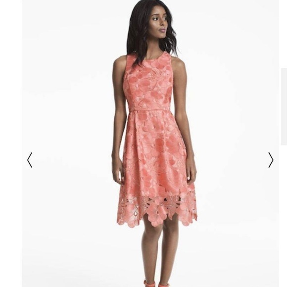 Tonal Lace Fit-And-Flare Dress - Picture 5 of 7